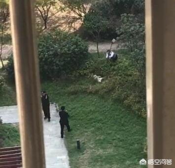 导肓犬小qip电影儿童版:建议全国的公交车普及导盲犬可以坐公交车的知识可以吗？