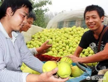 不想打工,本金也不多,能做点什么小生意或者摆地摊？