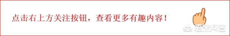 是谁一直不放过逃亡的英拉？