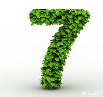 女的身份证号码:身份证号码最后一位数字7代表什么意思？