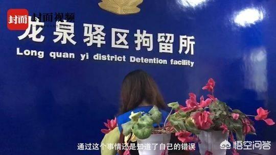男子摔狗事件:如何评价成都柯基摔死事件？