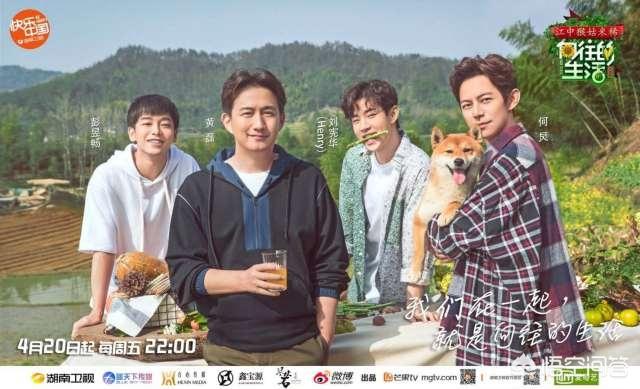 黄磊学生曾晖:向往的生活有第二季没有嘉宾是谁