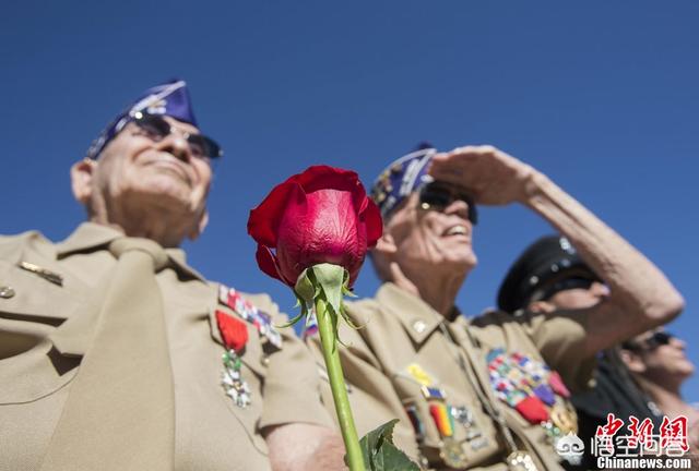 美国退伍军人怎样管理？插图17