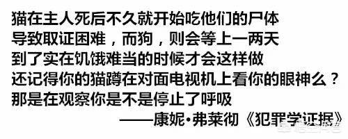 狗吃人事件:泰迪犬吃人食，会有什么问题？