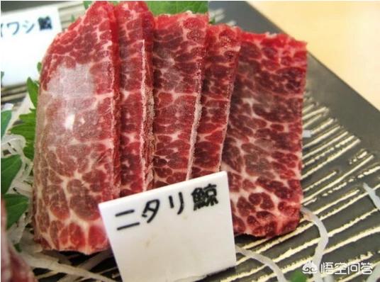 小须鲸:为什么日本人要吃鲸鱼肉？