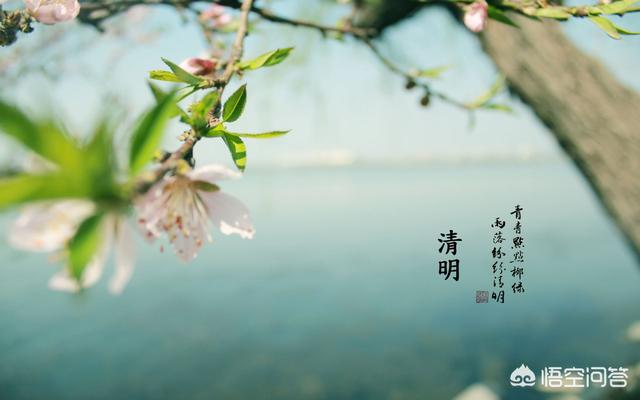 关于清明节的经典古诗词有哪些？