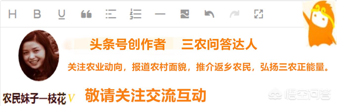 二王案:中国历史上有哪些大案要案？