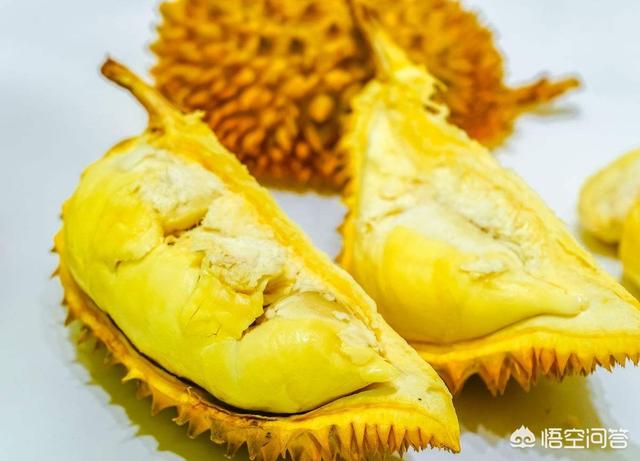 洪尧个人资料:金枕、干尧和猫山王的榴莲应该如何区分？