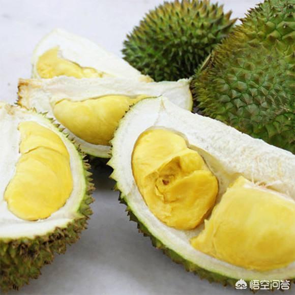 洪尧个人资料:金枕、干尧和猫山王的榴莲应该如何区分？