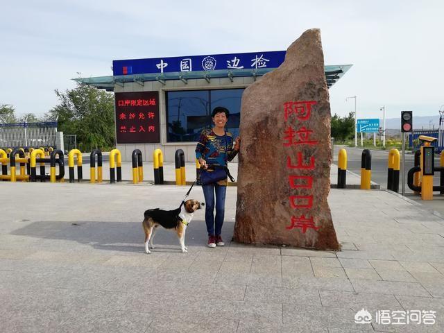 南和县围场宠物用品厂:一个人长途自驾旅行需要注意什么？