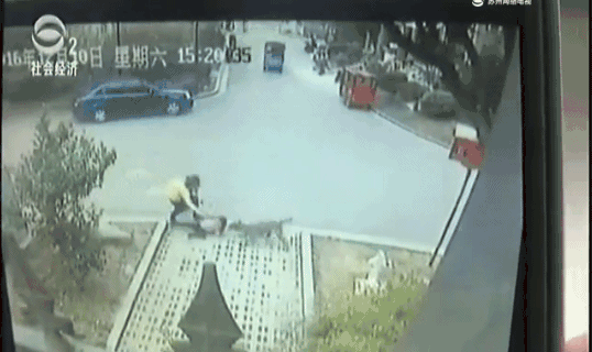 石家庄宠物狗:如何评价宠物狗扰民，石家庄建设禁狗小区？ 石家庄卖狗的宠物店
