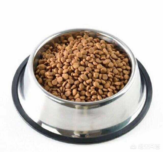 拉布拉多犬价格:拉布拉多犬的价格一般是多少？