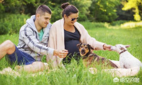 本视频由西摩犬舍转自国外:准备要孩子了，需要把家里的狗送走吗？