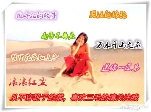 三毛碰见灵异事件:三毛在撒哈拉的那些传奇经历都是真的吗？还是她自己虚构的？