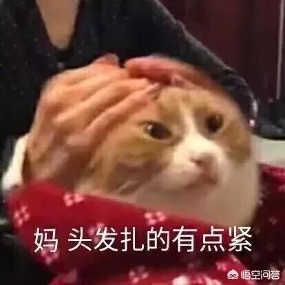 演员银雪:《烈火如歌》的哪一点吸引了你