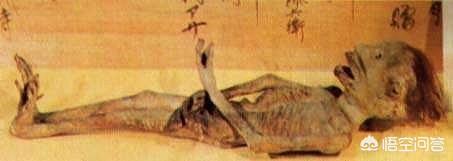 真实拍到的龙，日本人的瑞龙寺珍藏的真龙标本是真的吗