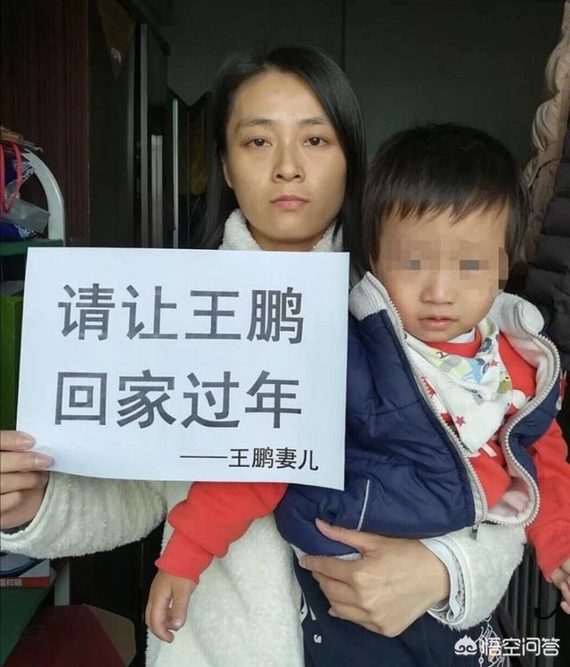 绿颊锥尾鹦鹉的性别:深圳“鹦鹉案”二审宣判改判两年，你怎么看？