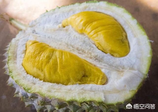 洪尧个人资料:金枕、干尧和猫山王的榴莲应该如何区分？