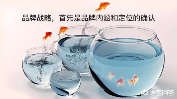 企业该如何利用品牌营销推广来打响企业的品牌呢？