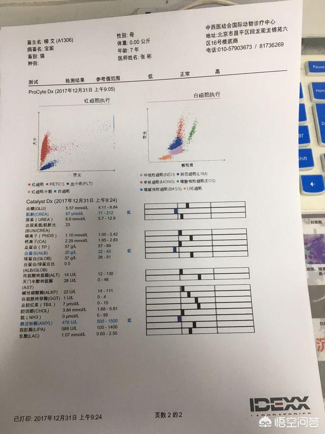 公猫绝育手术图片:猫咪绝育手术是怎么做呢？