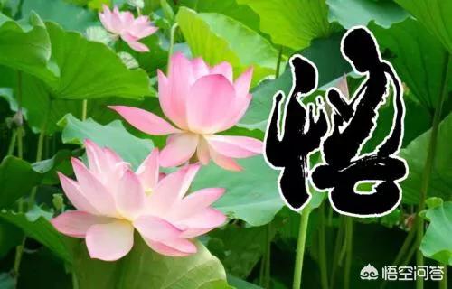 销售冲业绩<a href=https://maguai.com/list/256-0-0.html target=_blank class=infotextkey><a href=https://maguai.com/list/256-0-0.html target=_blank class=infotextkey>朋友圈</a></a>配图:销售如何快速提升销售水平？