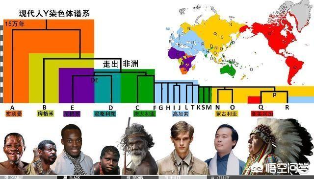 世界上有哪些主要人种？