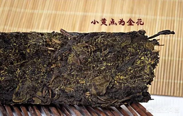 2020独特的<a href=https://maguai.com/personal/ target=_blank class=infotextkey>微信号</a>id蒙:今日头条的作者号被封禁了怎么办