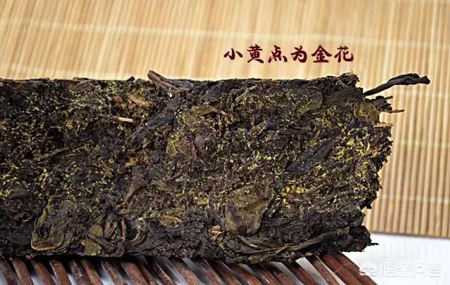 黑茶壮阳吗，喝黑茶降血脂有什么理论依据吗