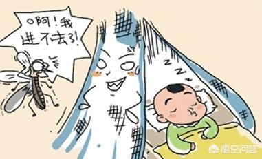 灭蚊子:蚊子多，有什么好的方法驱蚊？