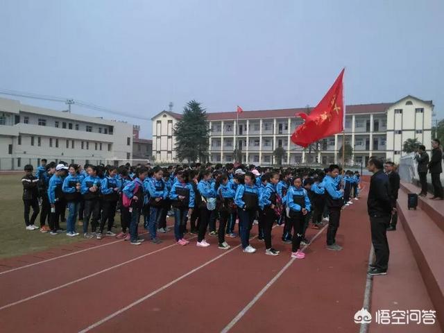 农村学校每年清明前夕组织学生参加革命烈士陵园祭扫活动吗？