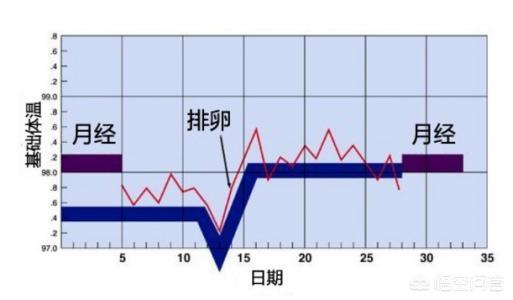 人的正常体温范围:体温检测多少度是正常 为什么人类的平均体温在37度左右？