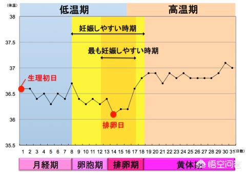 头条问答 人体的体温在一天内有变化吗 和风的回答 0赞