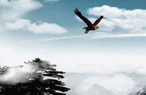 怎样可以，一个人怎样才能实现自己的目标？