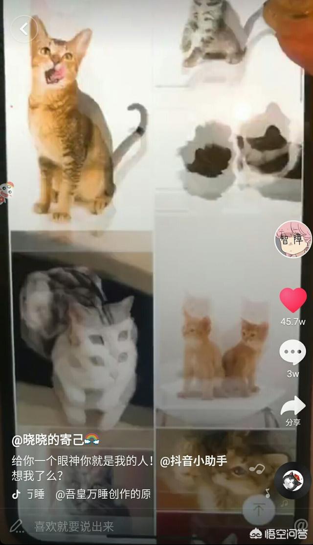 抖音微信聊天段子?:抖音里哪个段子你最喜欢？(抖音<a href=https://maguai.com/list/39-0-0.html target=_blank class=infotextkey><a href=https://maguai.com/list/39-0-0.html target=_blank class=infotextkey>搞笑</a></a>段子台词)
