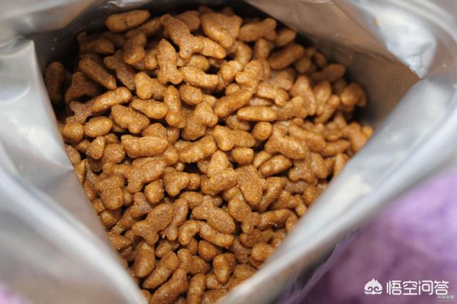 布偶猫吧 很瘦:布偶胃口突然变好小，布偶胃口小不怎么吃怎么办呢？ 布偶猫太瘦了脸尖