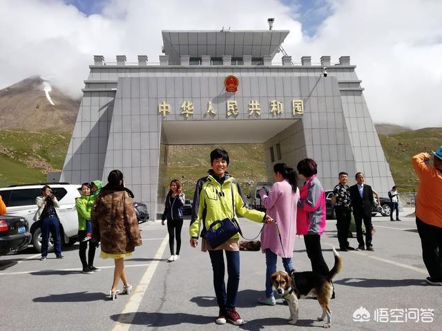 南和县围场宠物用品厂:一个人长途自驾旅行需要注意什么？