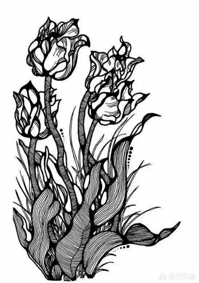 头条问答 - 有没有好看的黑白灰简单图片(美术)?(3个回答)