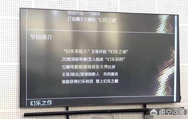 王菲综艺首秀:王菲的综艺首秀《幻乐之城》，你觉得她在里面的表现如何？