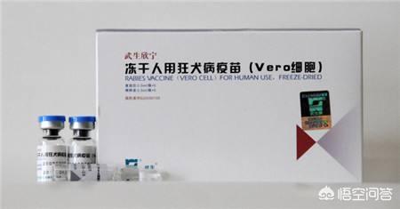 狂犬病毒 武汉测抗体:现在疾控中心都能做狂犬病毒抗体检测吗？ 武汉生物研究所狂犬病抗体检测