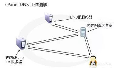 什么是dns服务器(DNS服务器啥意思)