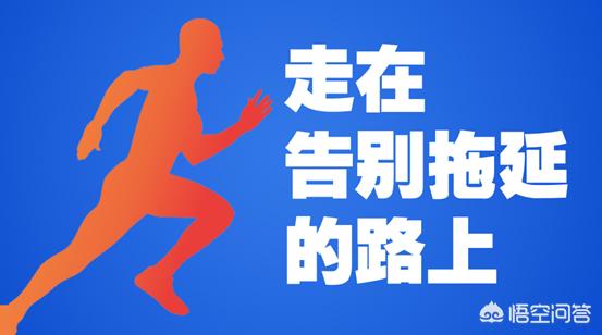 猫娘计划问题:为什么一些面试官总是问职业规划？该怎么去回答？