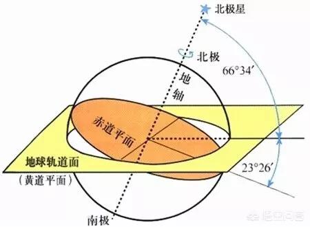 鼠王现象是怎么形成的，极昼和极夜是怎样形成的？