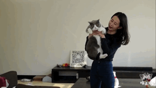 小萌猫红小胖:养一个胖猫是一种怎样的体验？