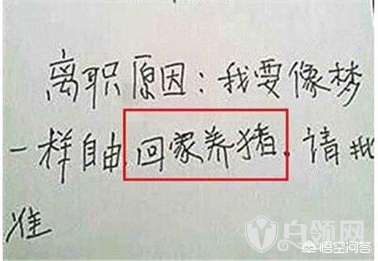 辞职书怎么写最简单？