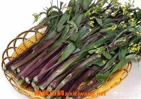 吃菜苔有什么好处 Raymond影视生活的回答 头条问答