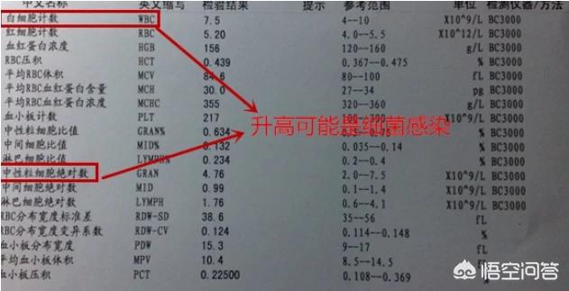 头条问答 孩子感冒 拿到血常规化验单如何判断是细菌感染还是病毒感染 我比滴滴快的回答 0赞