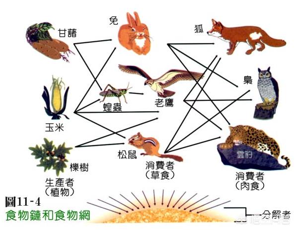头条问答 - 科幻小说中描述的「深海人」,是人类发展的方向吗?