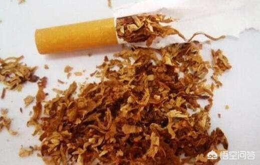 洗衣服能杀死绦虫卵吗:蛋鸡球虫绦虫反复发病，如何安全驱虫拒绝反复？