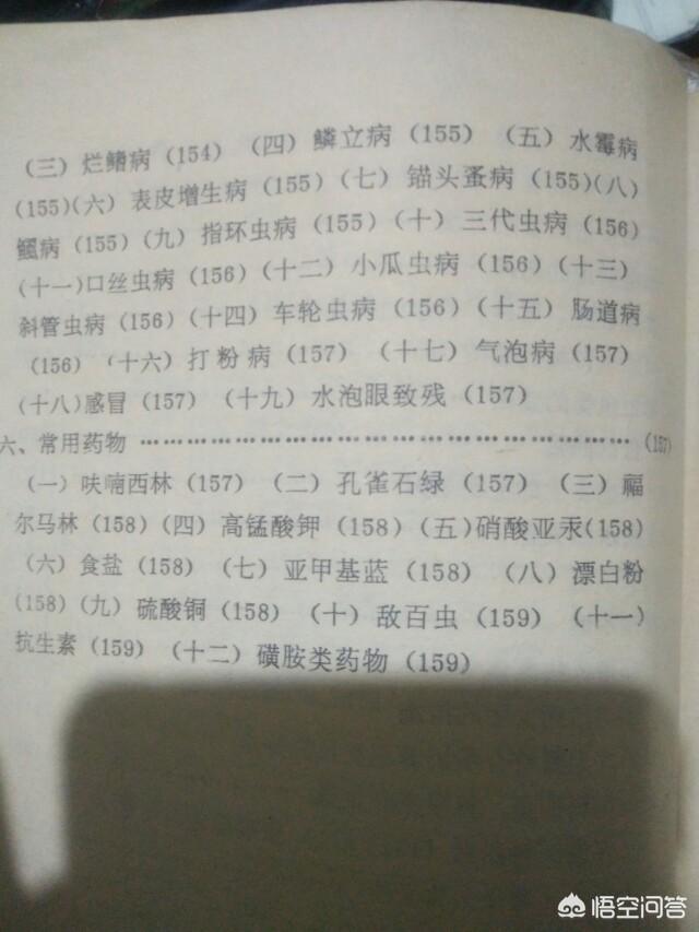 金鱼体表长黑斑怎么办，新买的金鱼身上长白点和黑斑，该怎么处理会不会把其他老鱼传染了