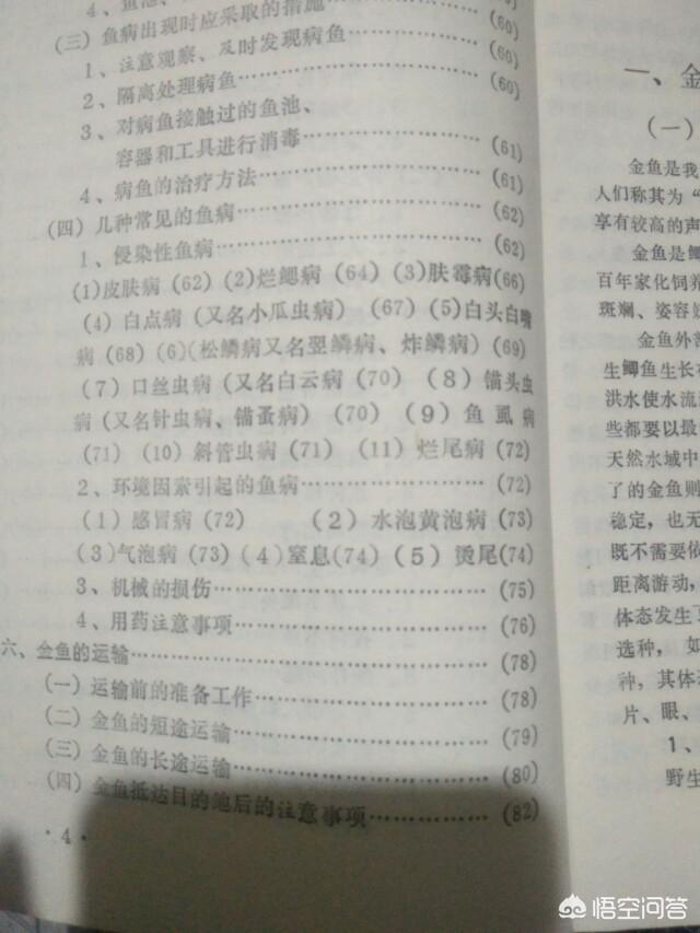 金鱼体表长黑斑怎么办，新买的金鱼身上长白点和黑斑，该怎么处理会不会把其他老鱼传染了